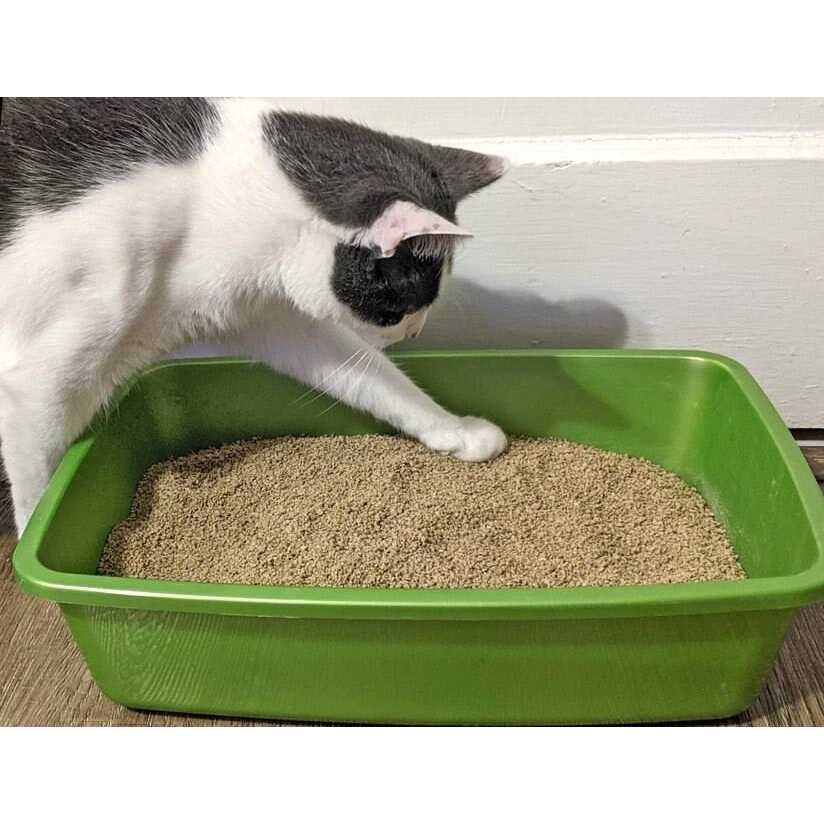 Clumping Cat Litter C612460