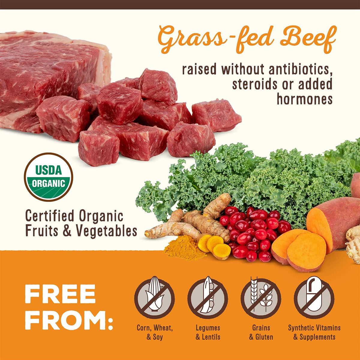 Freeze Dried Beef Pet Supplies V631