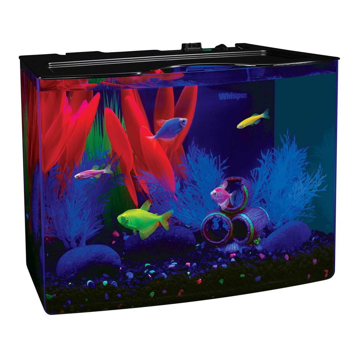 5-gallon Aquarium Fish Tank Kit with Decorations, LED Lighting, Filter and Water Conditioner I474136
