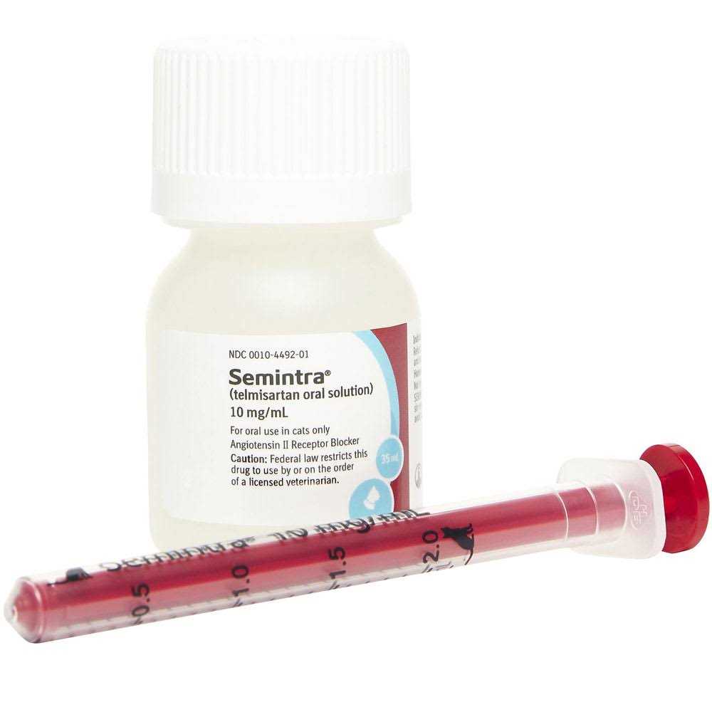 Oral Solution for Cats 10 mg/ml Y599