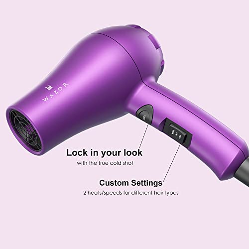 Compact 1000W Blow Dryer with Concentrator, Purple Z121