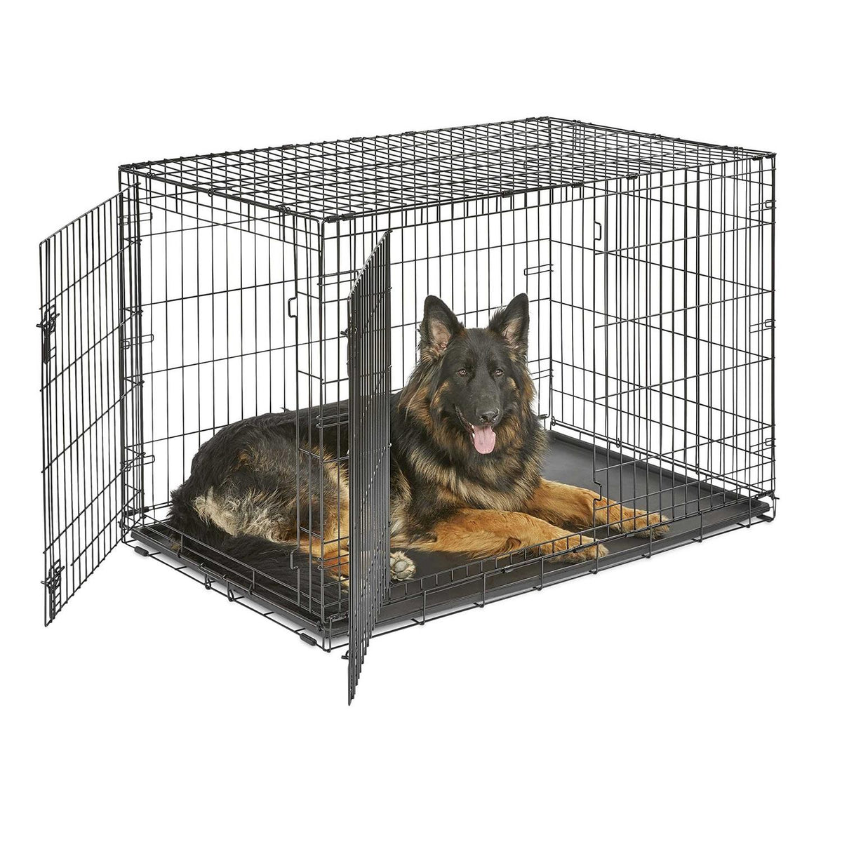 Single Door Dog Crate B351