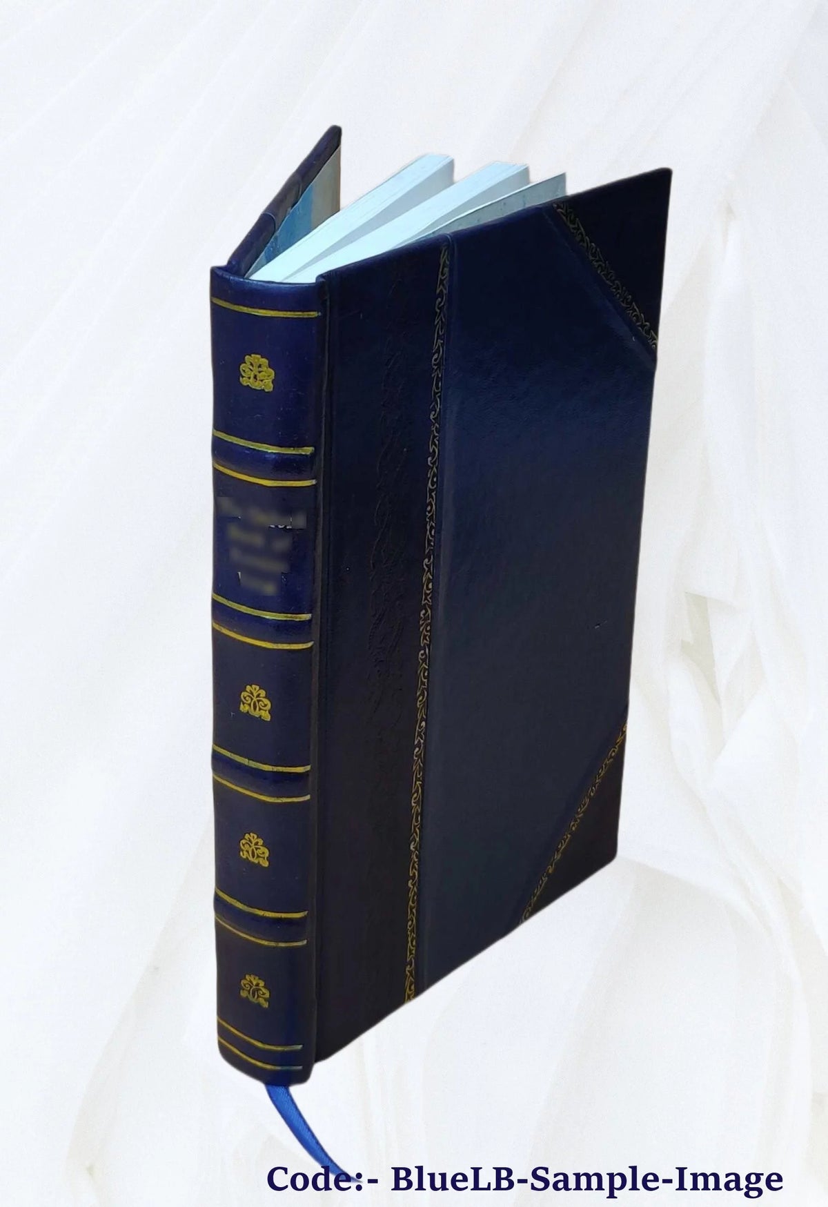 1917 Leather Bound Furniture Guide I15809