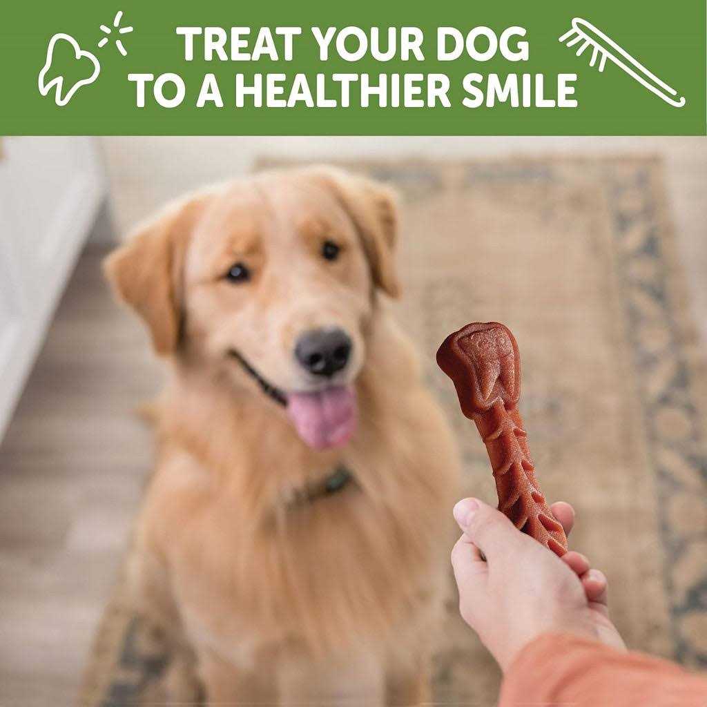 Natural Dental Dog Treats T114