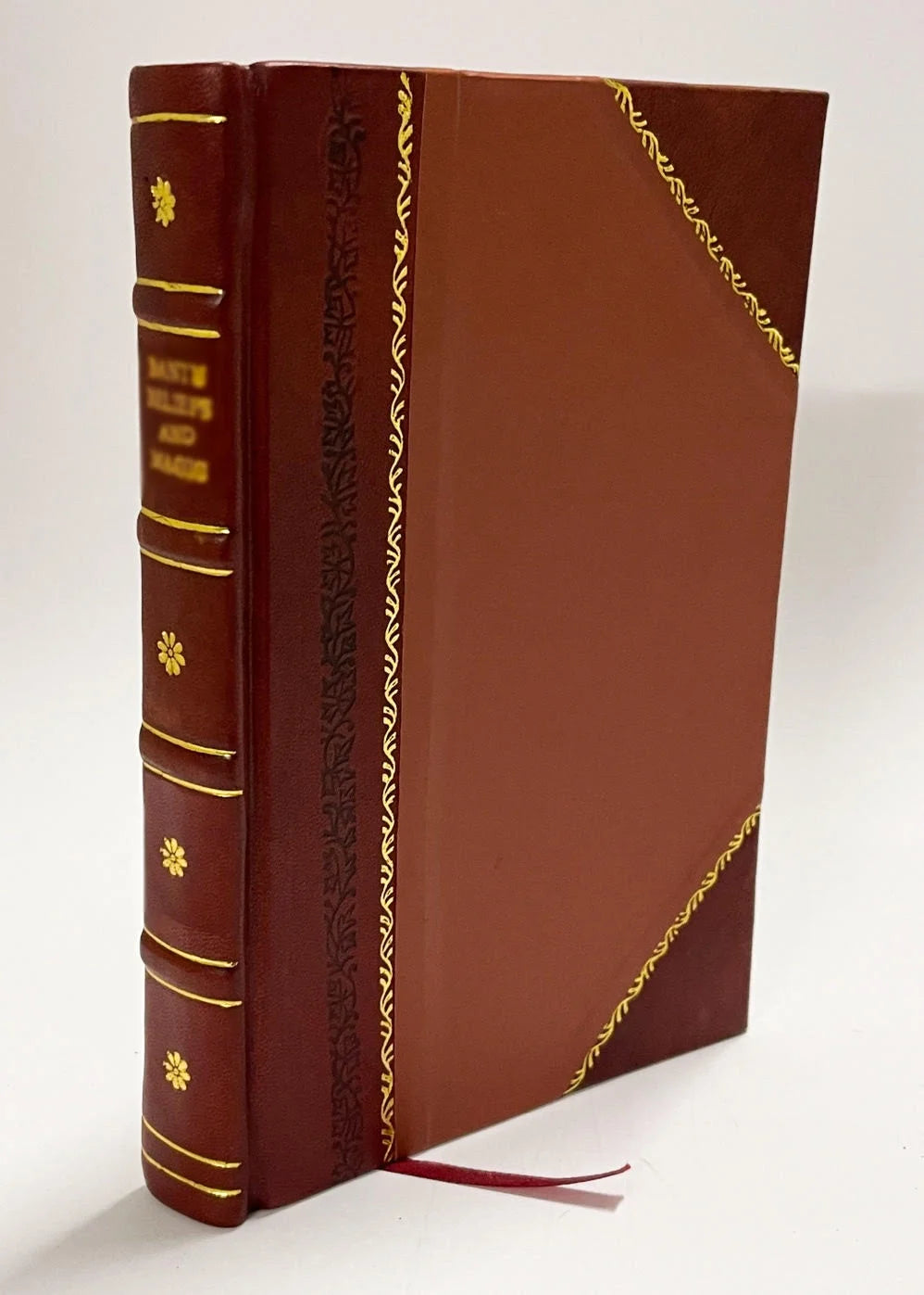 Leather Bound Book Y441528