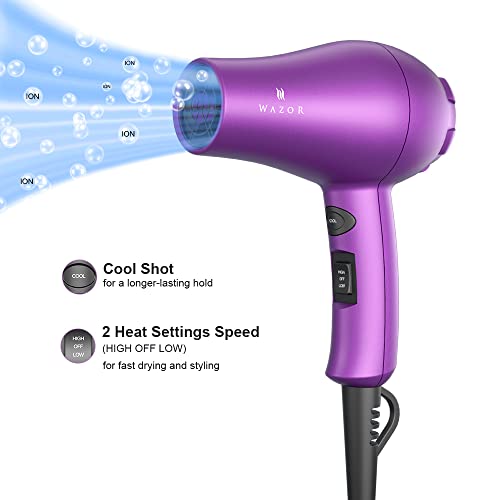Compact 1000W Blow Dryer with Concentrator, Purple Z121