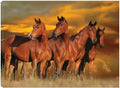32x24 Canvas Art T634