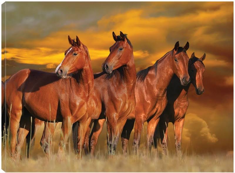 32x24 Canvas Art T634