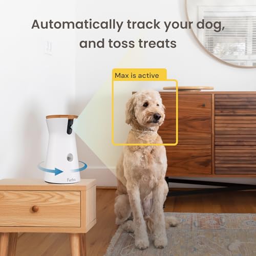 360° Cat Camera with Treat Dispenser and Speaker H466423