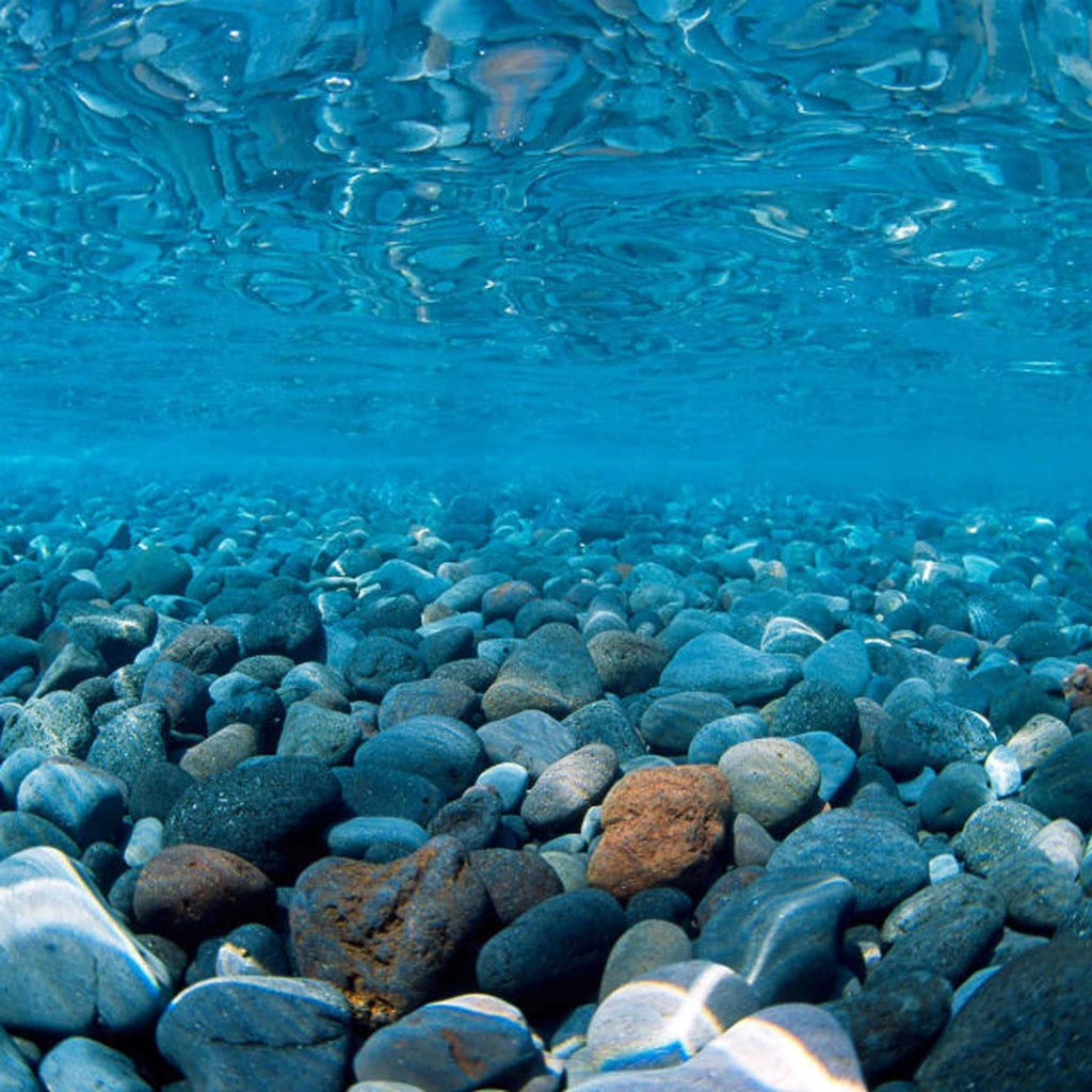 River Rock/Coral Bliss Background N540