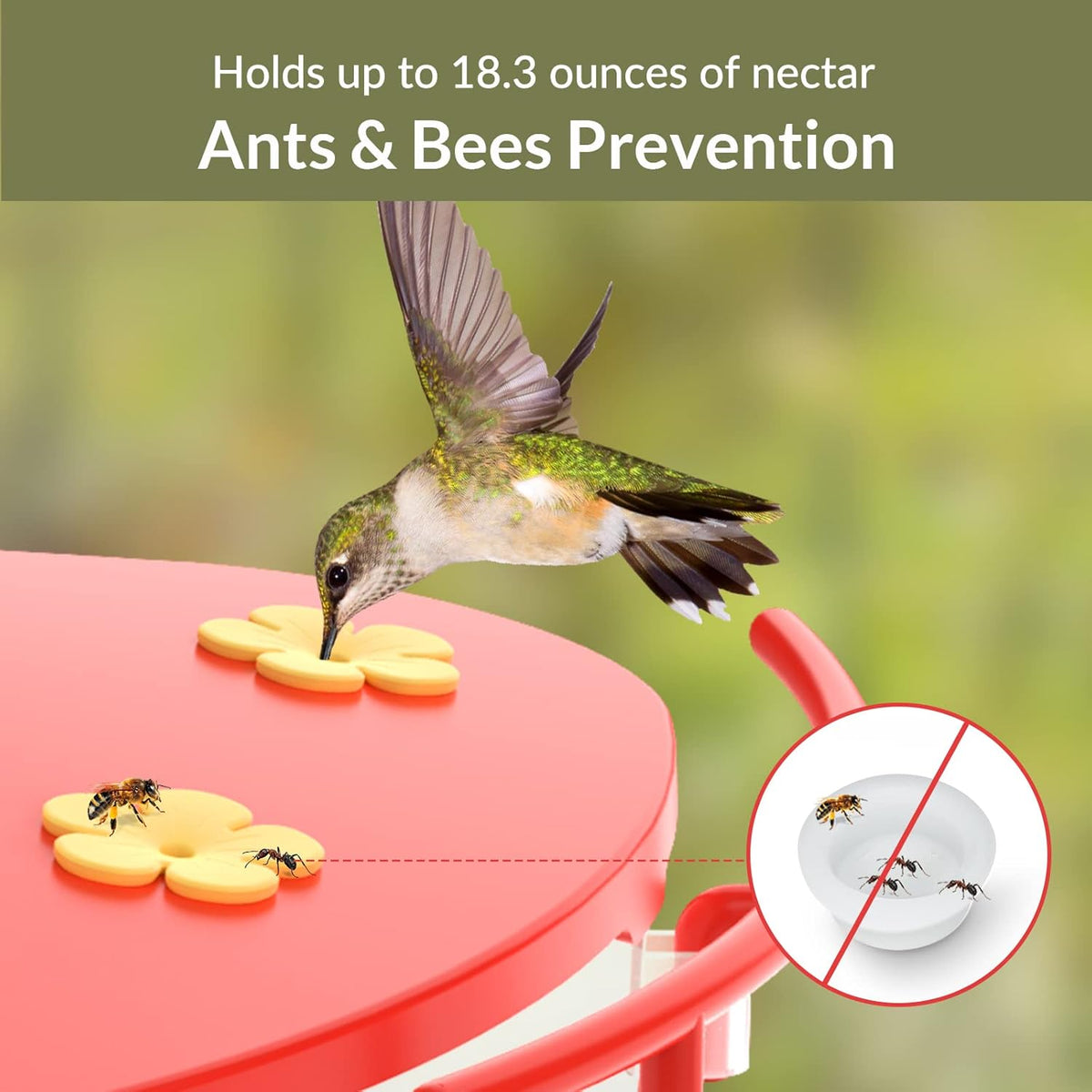 Birdfy Solar Camera with Humming Bird Feeder Extension Perch J427257