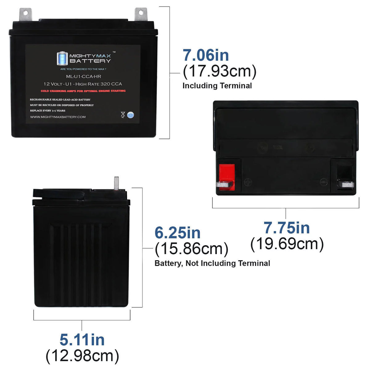 12V 320CCA Battery T64718