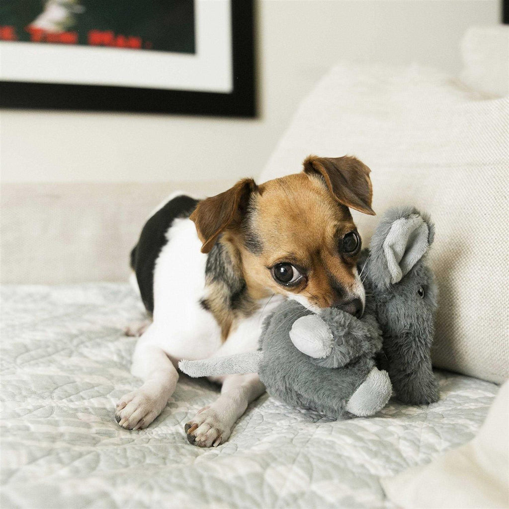 Elephant Dog Toy B3367