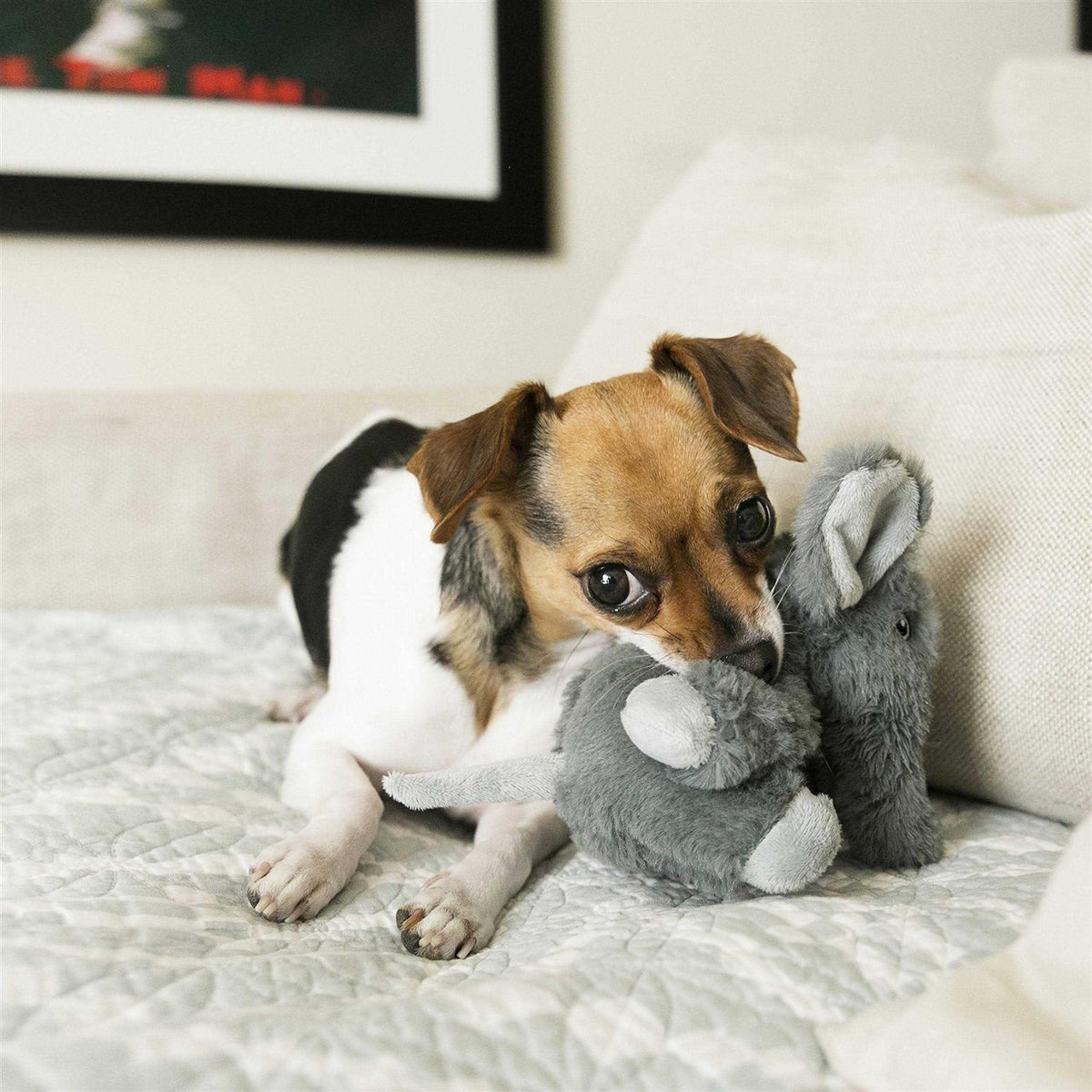 Elephant Dog Toy B3367