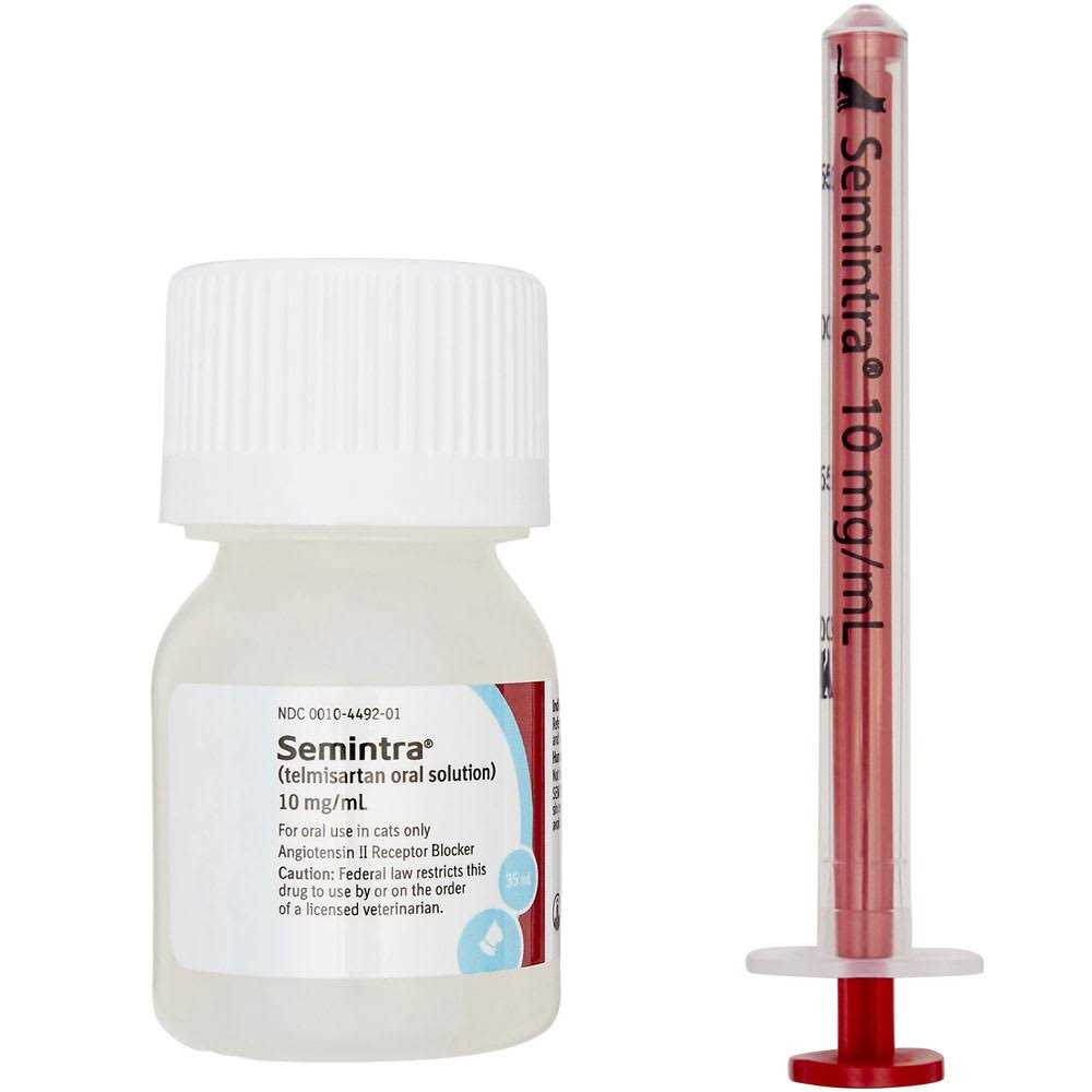 Oral Solution for Cats 10 mg/ml Y599