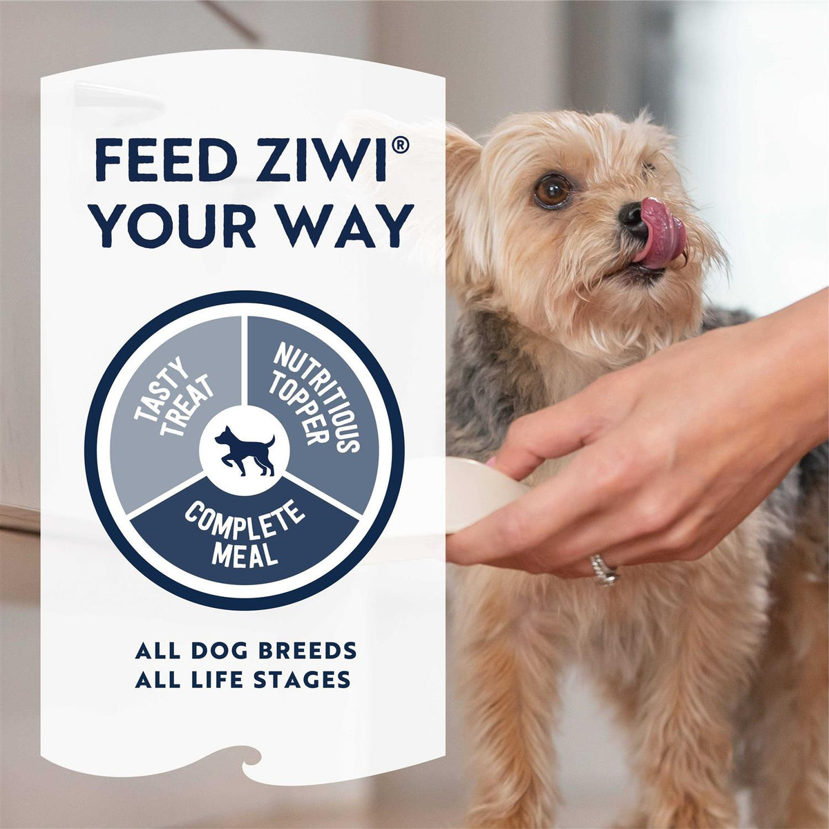 Air Dried Beef Dog Food M486