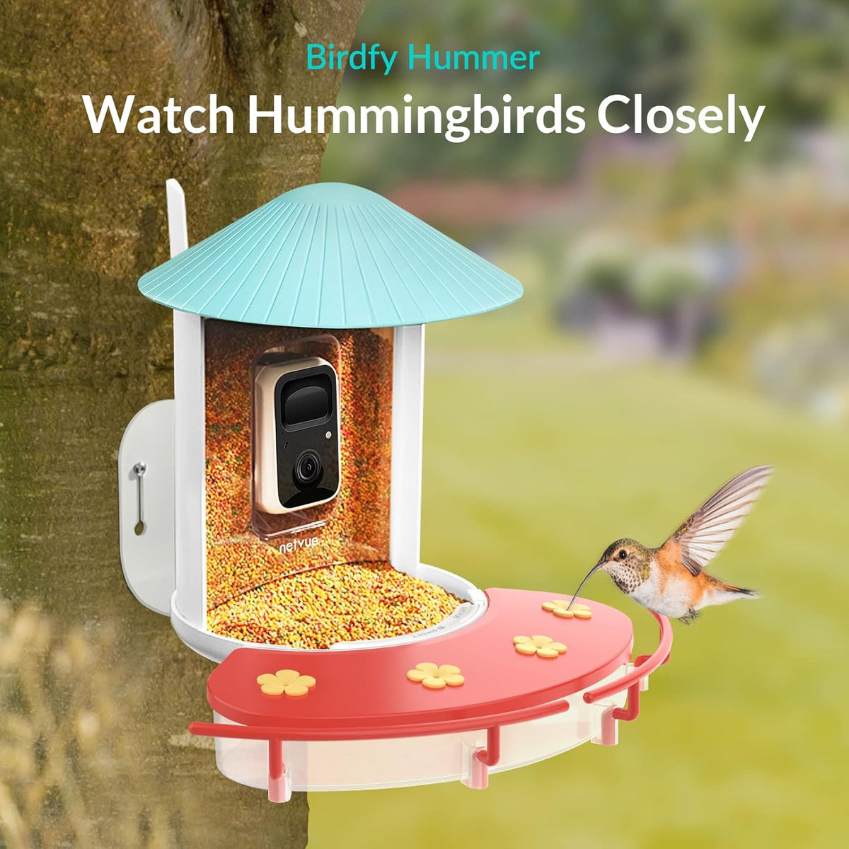 Birdfy Solar Camera with Humming Bird Feeder Extension Perch J427257