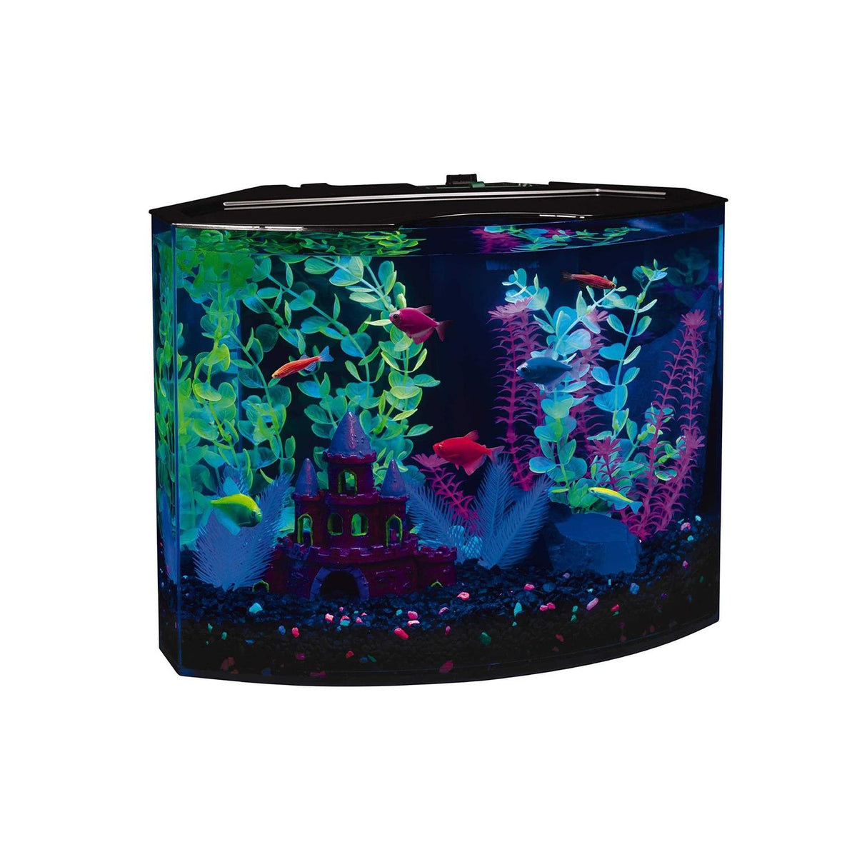 5-gallon Aquarium Fish Tank Kit with Decorations, LED Lighting, Filter and Water Conditioner I474136