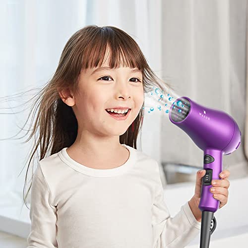 Compact 1000W Blow Dryer with Concentrator, Purple Z121