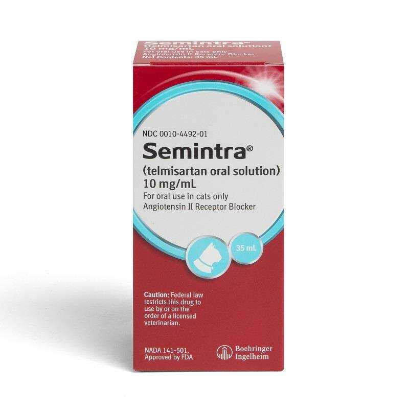 Oral Solution for Cats 10 mg/ml Y599