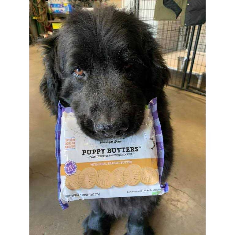 Peanut Butter Dog Treats V622