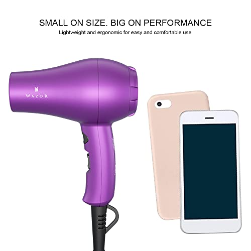 Compact 1000W Blow Dryer with Concentrator, Purple Z121