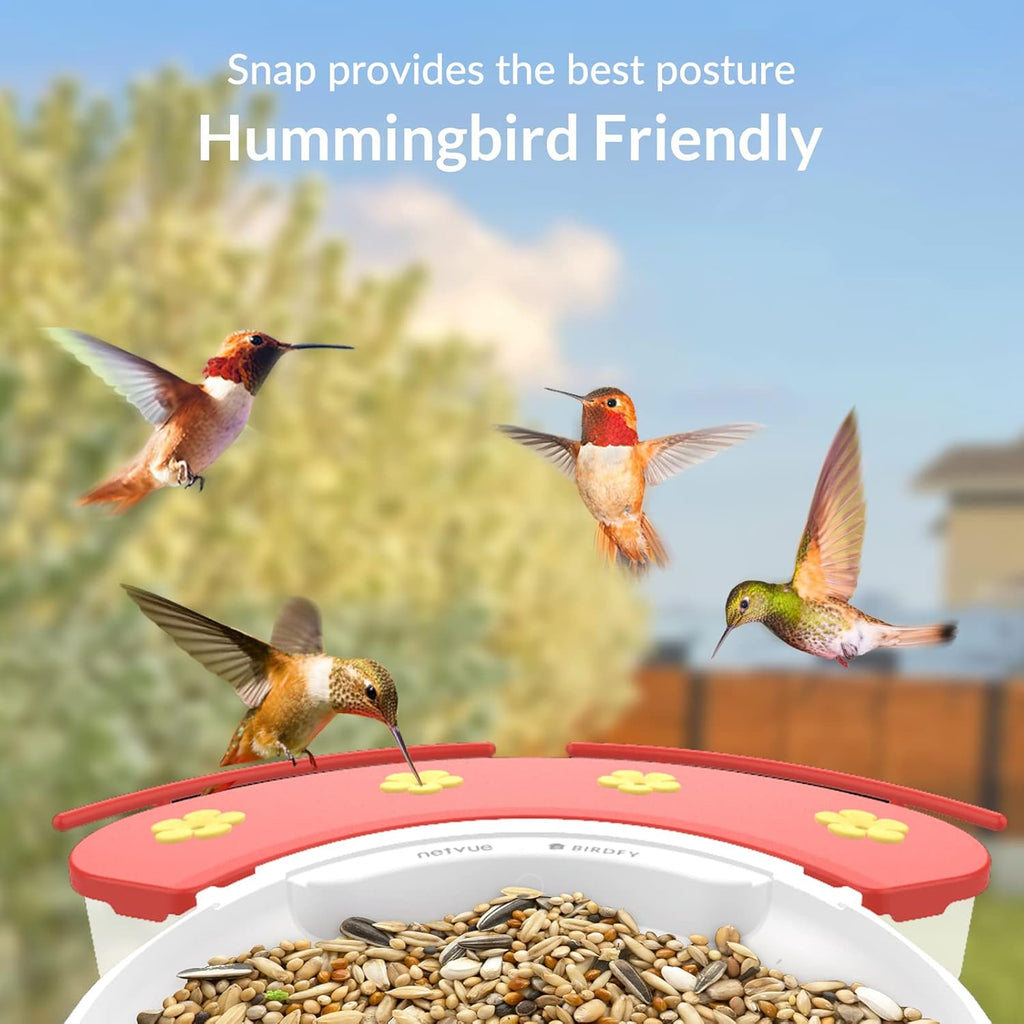 Birdfy Solar Camera with Humming Bird Feeder Extension Perch J427257