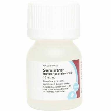 Oral Solution for Cats 10 mg/ml Y599