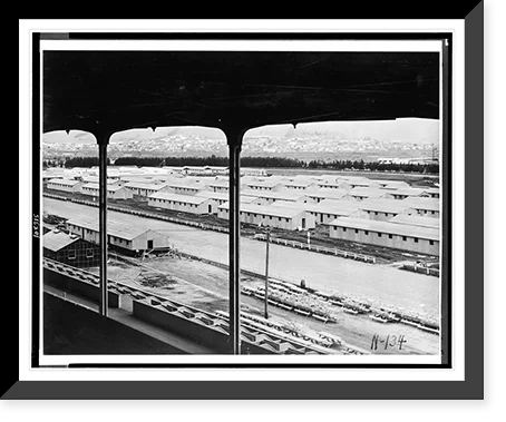 Framed Print 17-7/8" x 21-7/8" W7009