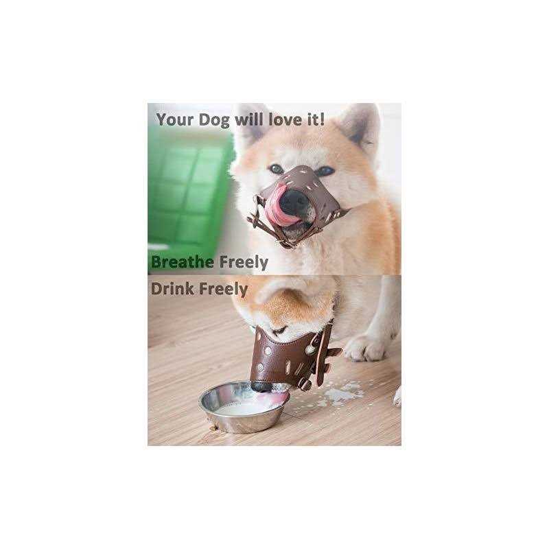 Leather Dog Muzzle N739400