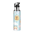 Stainless Steel Insulated Water Bottle with Straw Lid P464