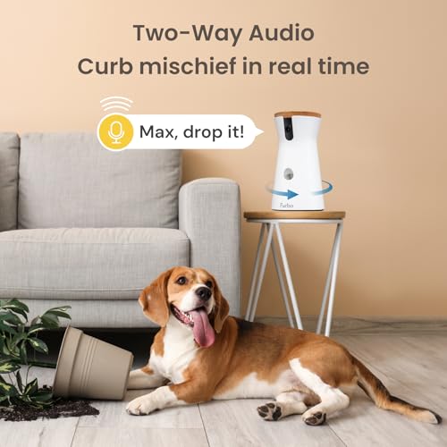 360° Cat Camera with Treat Dispenser and Speaker H466423