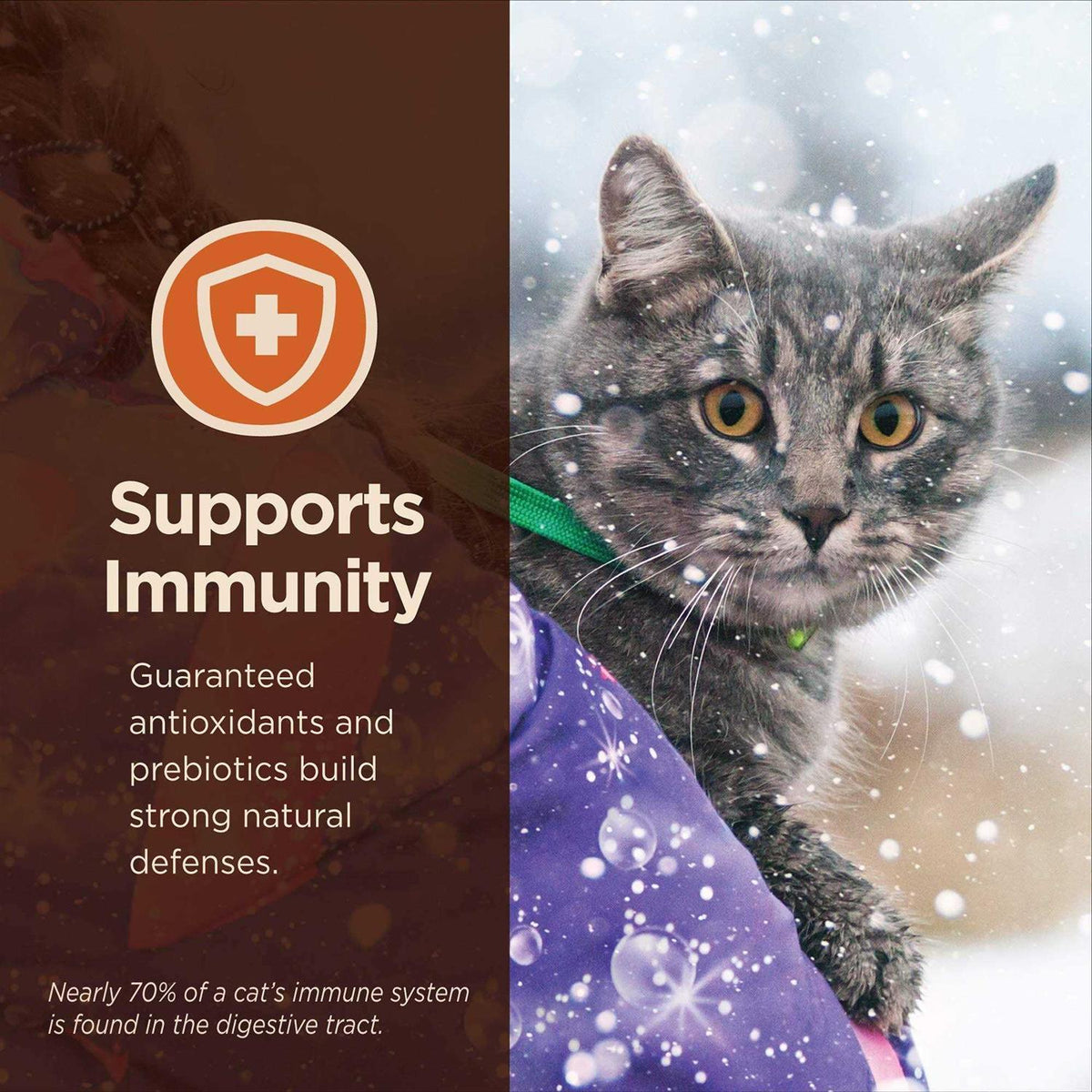 Wet Cat Food C758