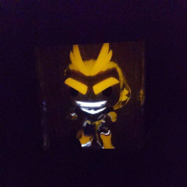 Glows in The Dark Funko Pop Y4939