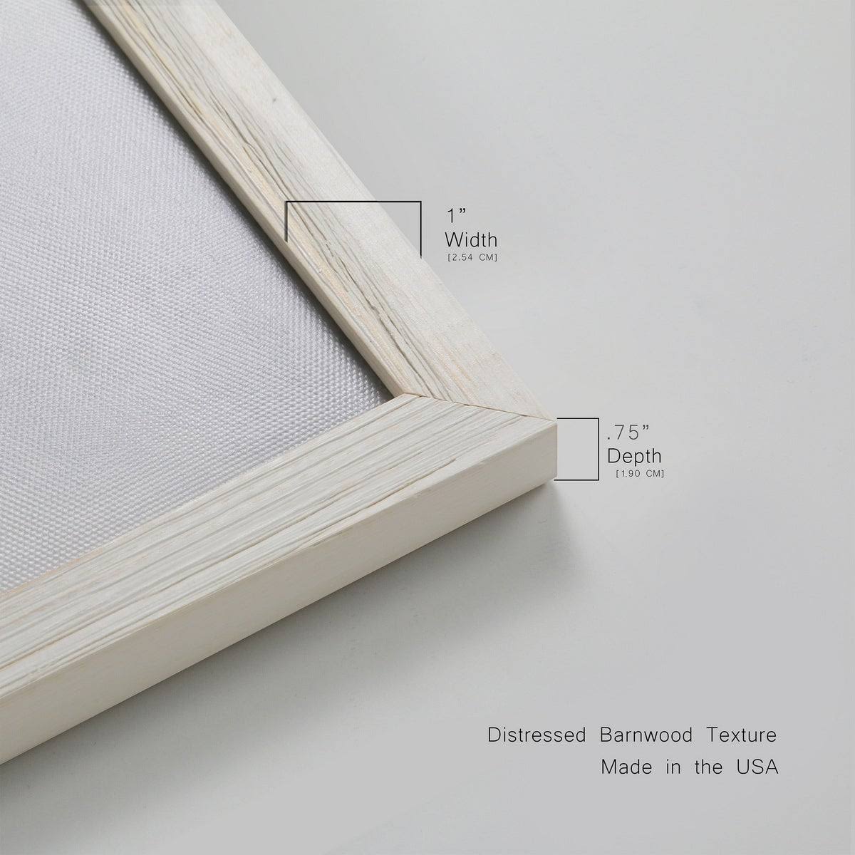 Framed Canvas U338