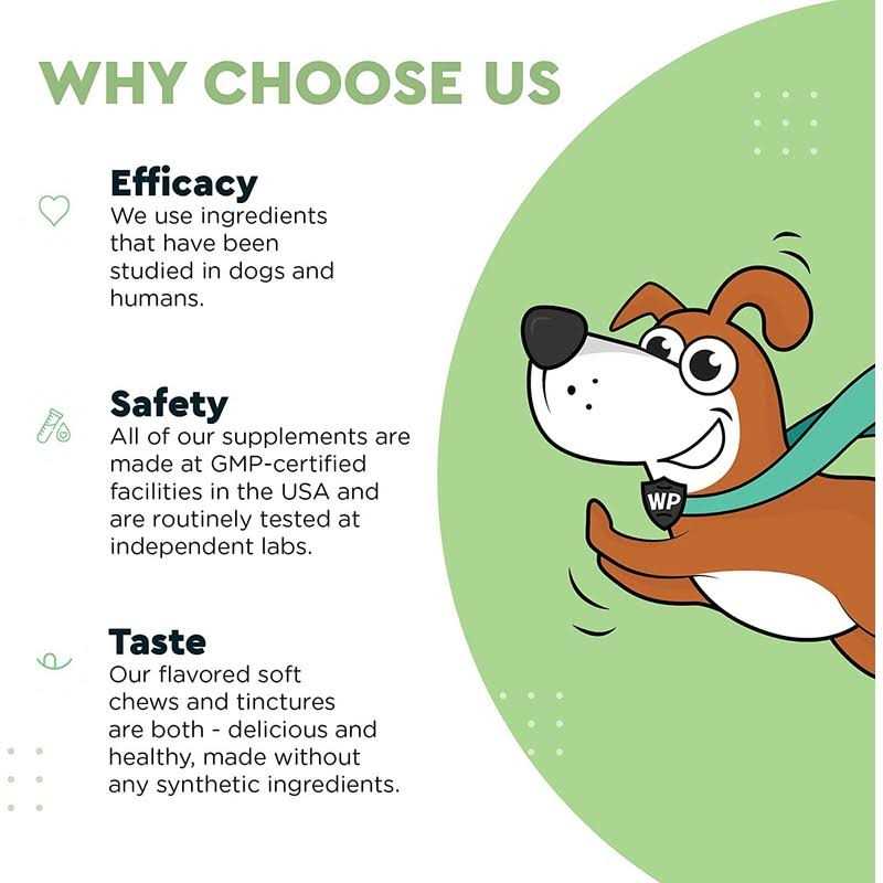 Milk Thistle Liver Support for Dogs F756399