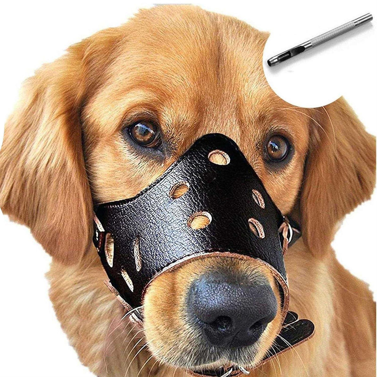 Leather Dog Muzzle N739400