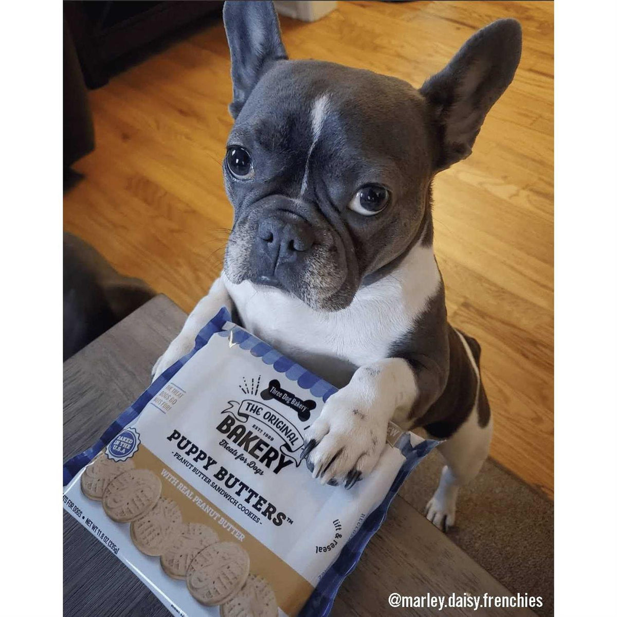 Peanut Butter Dog Treats V622