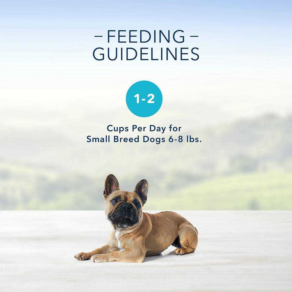 Grilled Chicken Flavor Pate Small Breed Dog Food Z316616