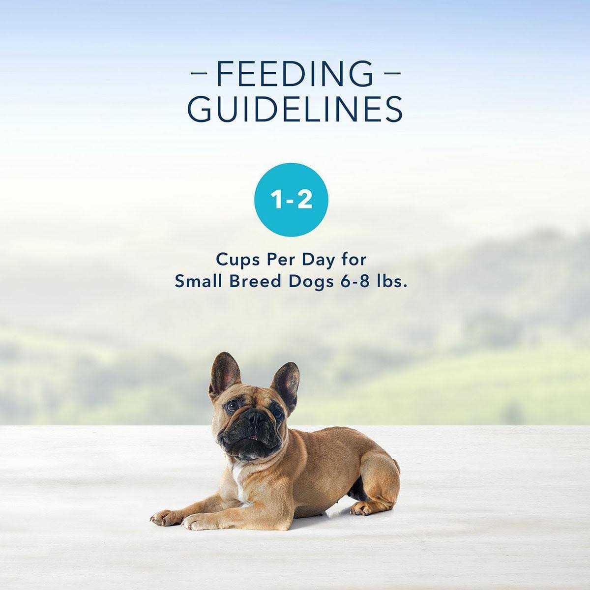 Grilled Chicken Flavor Pate Small Breed Dog Food Z316616
