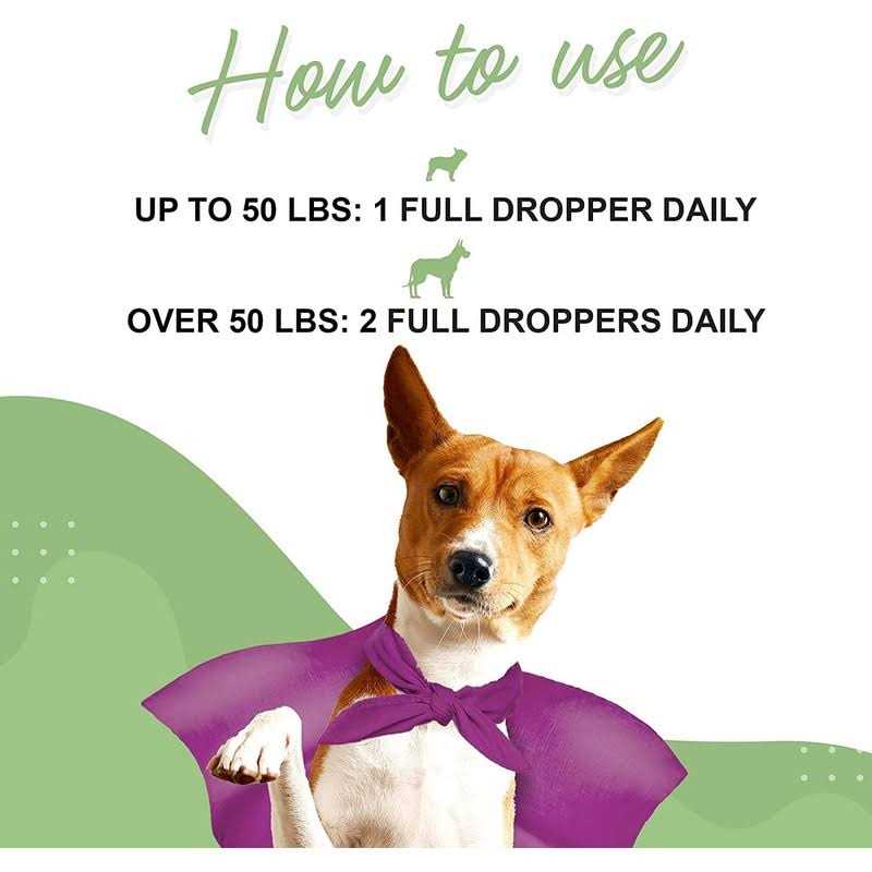 Milk Thistle Liver Support for Dogs F756399