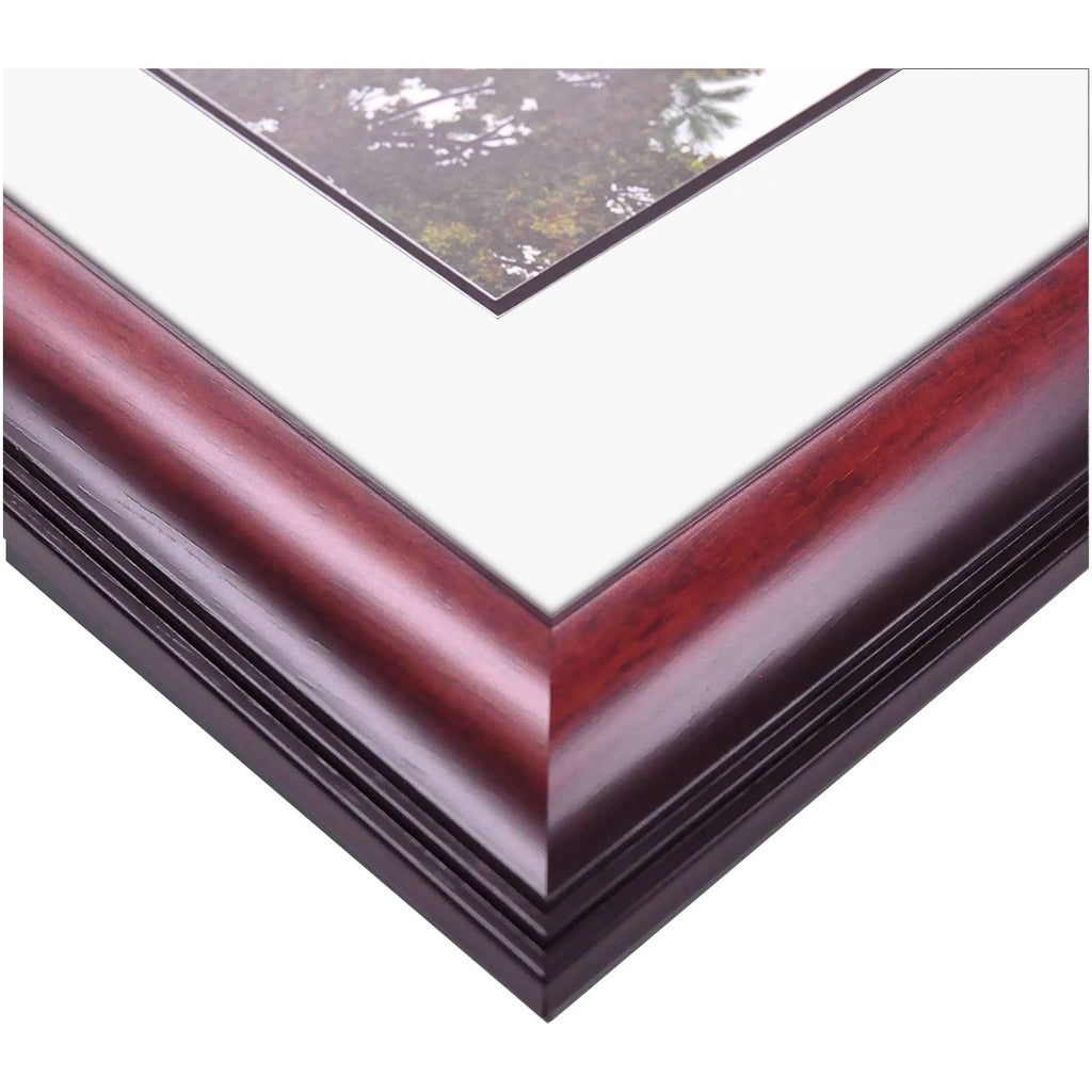 Satin Mahogany Diploma Frame Y7954