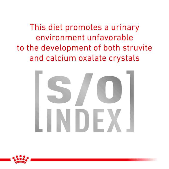 Veterinary Diet Urinary SO Thin Slices in Gravy Canned Dog Food E30439