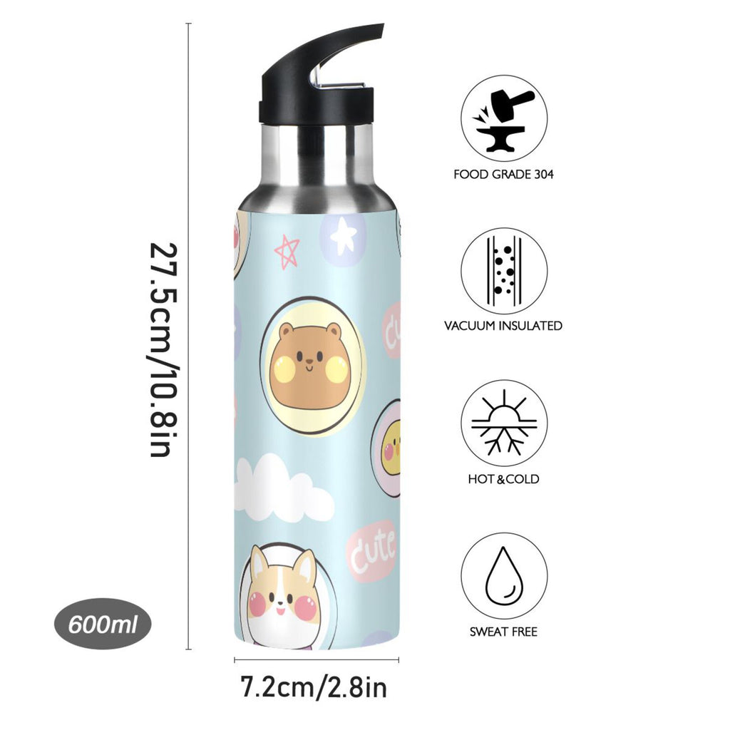 Stainless Steel Insulated Water Bottle with Straw Lid P464