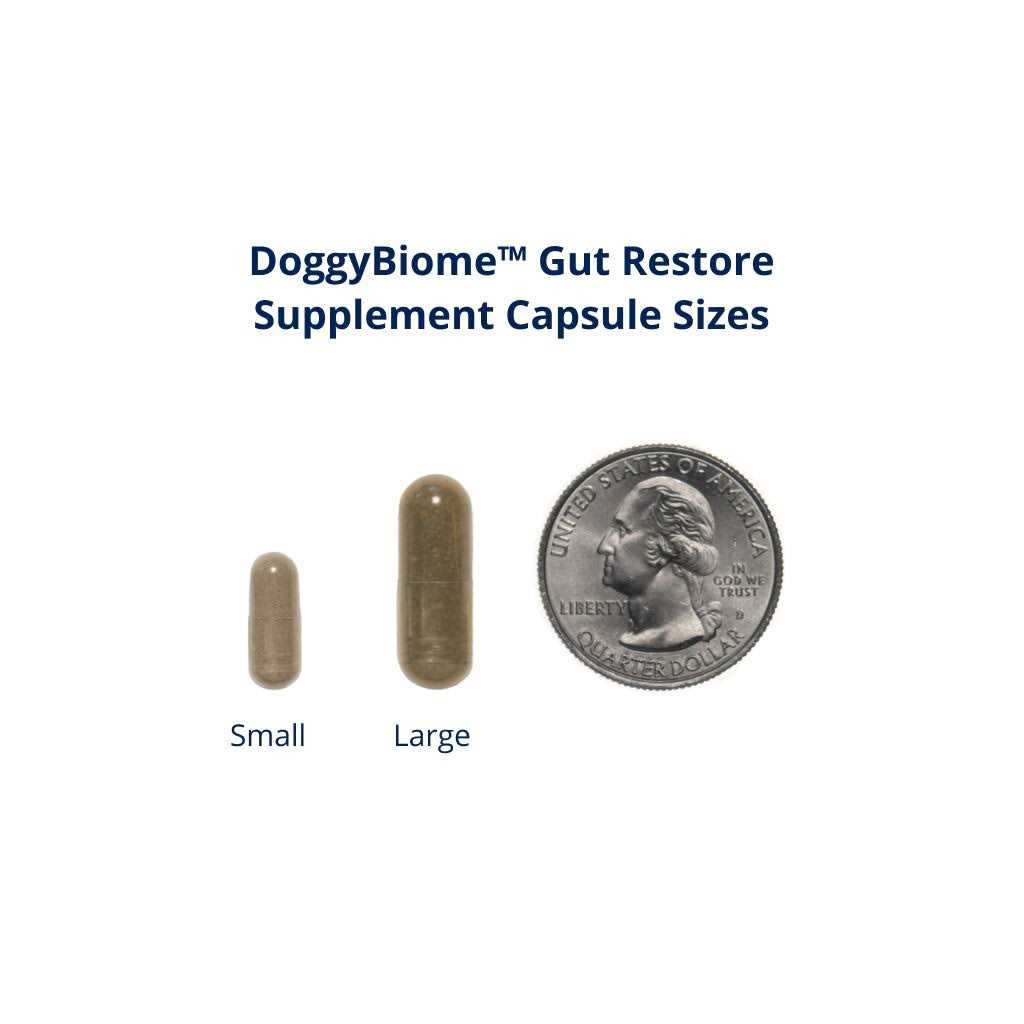 30 Capsules Supplement T470