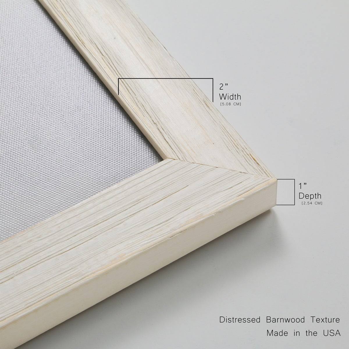Framed Canvas U338