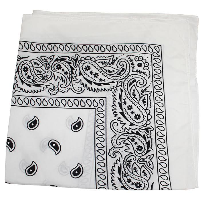 96 Pack 100% Polyester Paisley Bandanas (Hot Pink) R4398