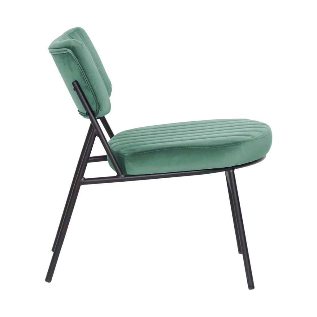 Velvet Accent Chair with Metal Frame Set of 2 D686199