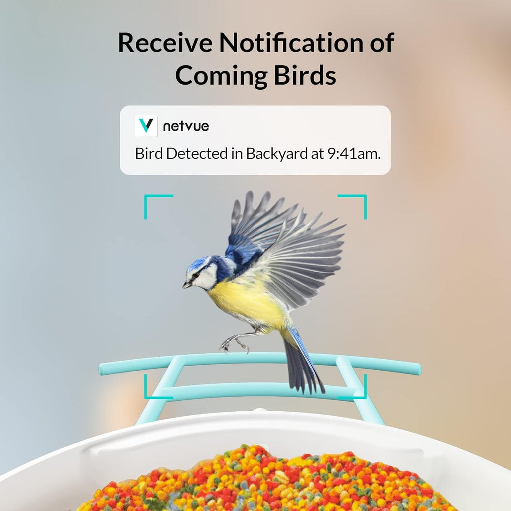 Birdfy Solar Camera with Humming Bird Feeder Extension Perch J427257