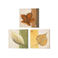 Leaf Impression 3 Piece Canvas Art Set Each 14W x 14H J693915
